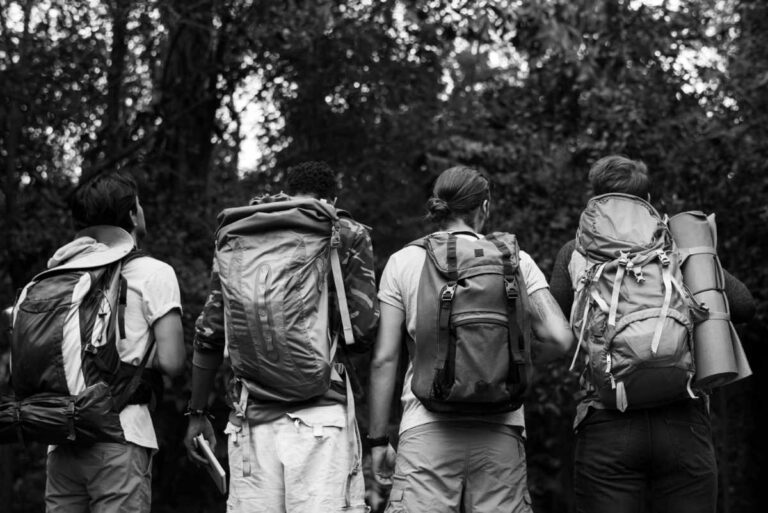 hiking backpacks